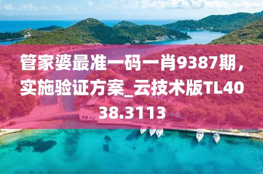 管家婆最准一码一肖9387期，实施验证方案_云技术版TL4038.3113