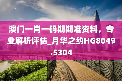澳门一肖一码期期准资料，专业解析评估_月华之约HG8049.5304