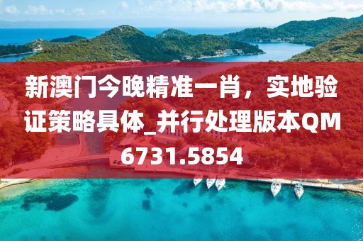 新澳门今晚精准一肖，实地验证策略具体_并行处理版本QM6731.5854