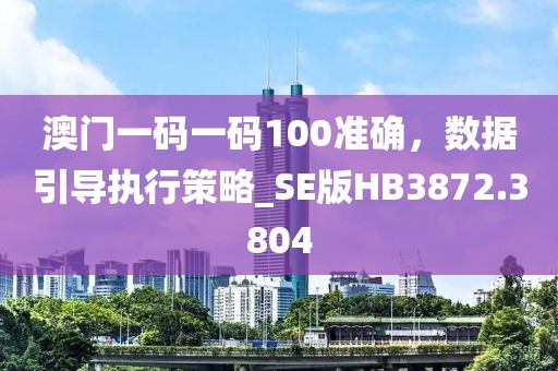 澳门一码一码100准确，数据引导执行策略_SE版HB3872.3804