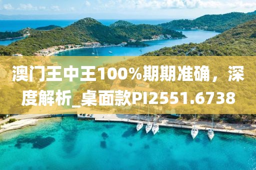 澳门王中王100%期期准确，深度解析_桌面款PI2551.6738
