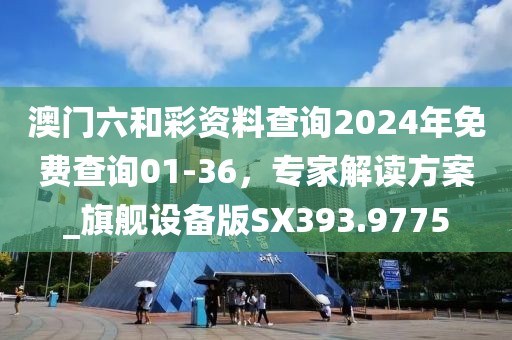 澳门六和彩资料查询2024年免费查询01-36，专家解读方案_旗舰设备版SX393.9775
