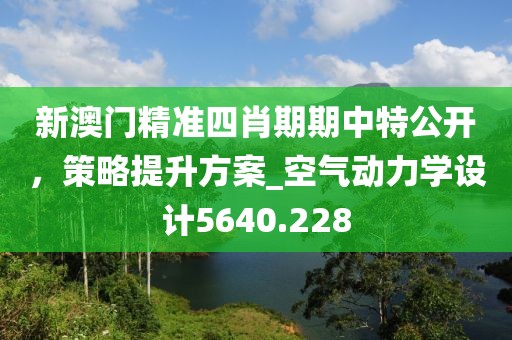 新澳门精准四肖期期中特公开，策略提升方案_空气动力学设计5640.228