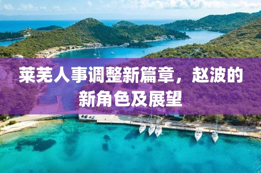 莱芜人事调整新篇章，赵波的新角色及展望