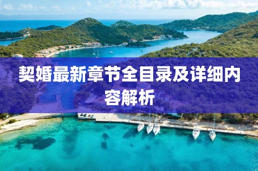 契婚最新章节全目录及详细内容解析
