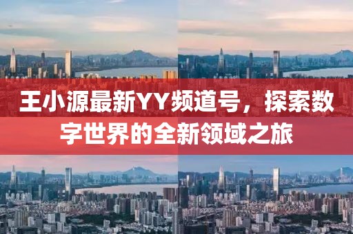 王小源最新YY频道号，探索数字世界的全新领域之旅
