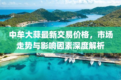 中牟大蒜最新交易价格，市场走势与影响因素深度解析