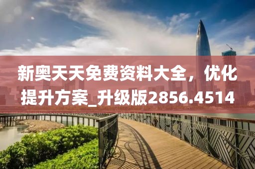 新奥天天免费资料大全，优化提升方案_升级版2856.4514