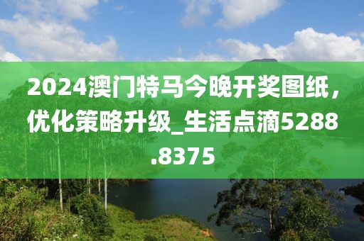 2024澳门特马今晚开奖图纸，优化策略升级_生活点滴5288.8375