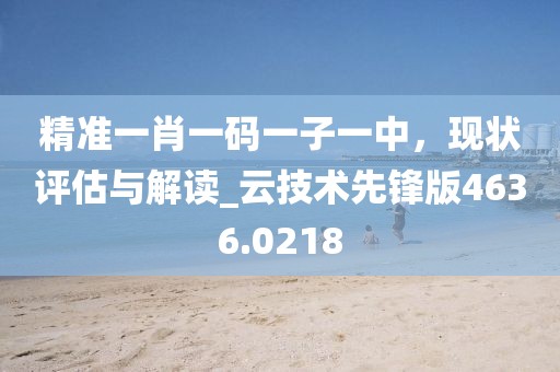 精准一肖一码一子一中，现状评估与解读_云技术先锋版4636.0218