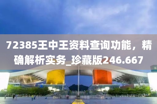 72385王中王资料查询功能，精确解析实务_珍藏版246.667