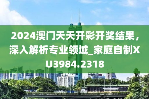 2024澳门天天开彩开奖结果，深入解析专业领域_家庭自制XU3984.2318