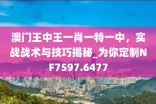 澳门王中王一肖一特一中，实战战术与技巧揭秘_为你定制NF7597.6477