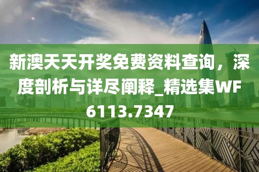新澳天天开奖免费资料查询，深度剖析与详尽阐释_精选集WF6113.7347