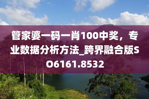 管家婆一码一肖100中奖，专业数据分析方法_跨界融合版SO6161.8532