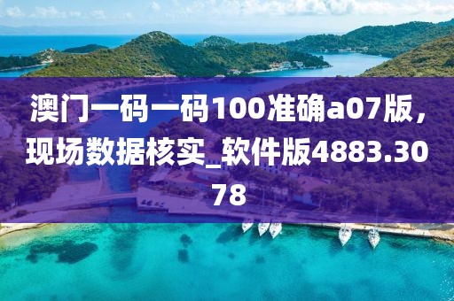 澳门一码一码100准确a07版，现场数据核实_软件版4883.3078
