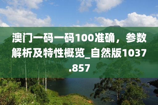澳门一码一码100准确，参数解析及特性概览_自然版1037.857