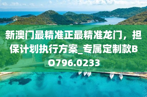 新澳门最精准正最精准龙门，担保计划执行方案_专属定制款BO796.0233