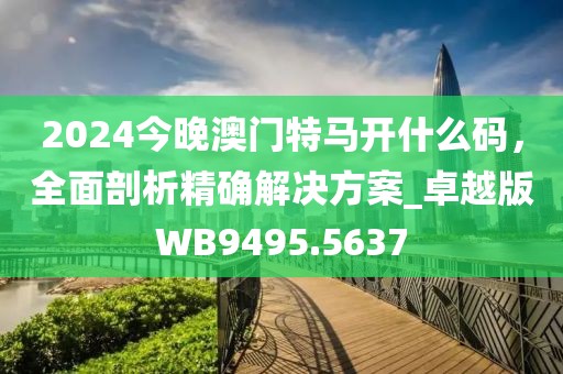 2024今晚澳门特马开什么码，全面剖析精确解决方案_卓越版WB9495.5637