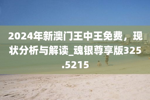 2024年新澳门王中王免费，现状分析与解读_魂银尊享版325.5215