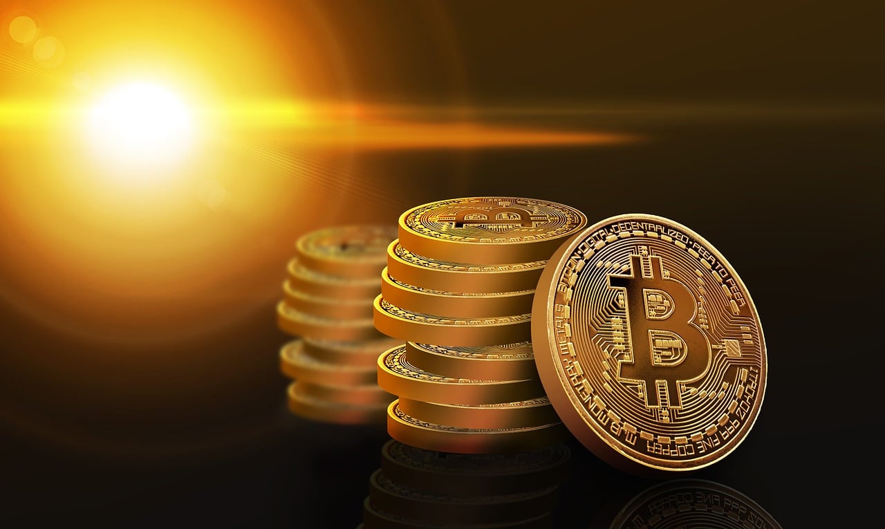 旺海公府最新价格走势揭秘，深度分析与解读