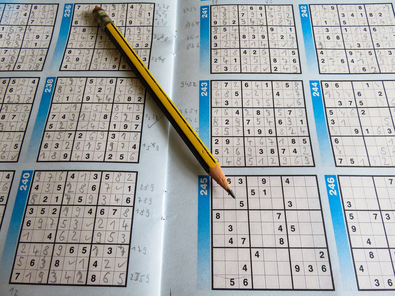 新澳门资料免费长期公开,2024,全身心解答具体问题的有效方法与技巧