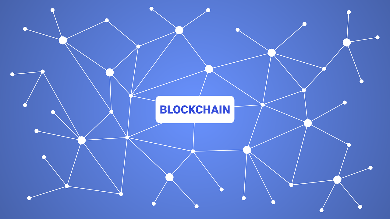 新2024奥门兔费资料,全面推进青椒计划实施方案的创新策略与实践路径