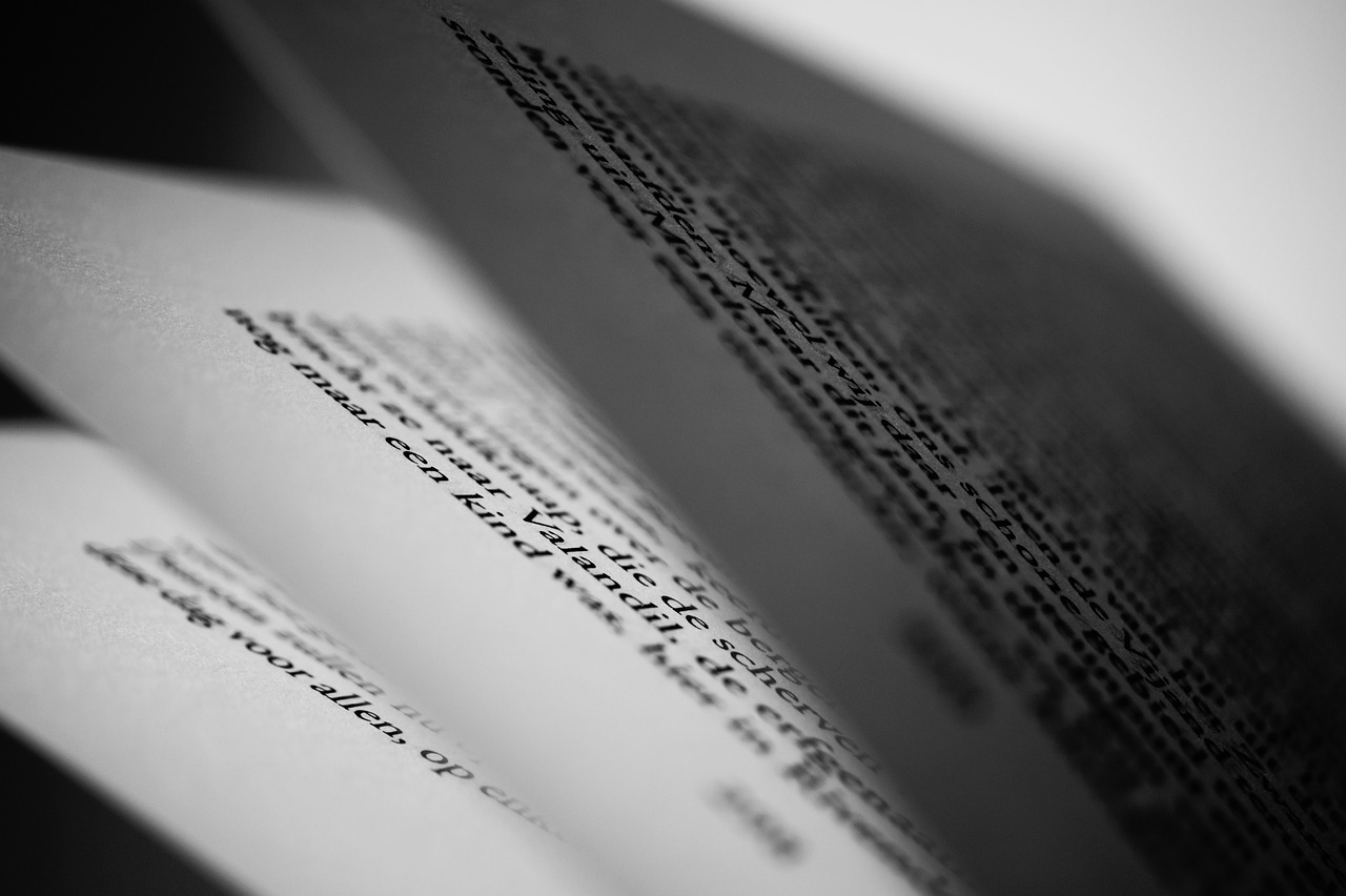 澳门开奖记录开奖结果2024,探索美丽的词语解析：感受语言的魅力与深度
