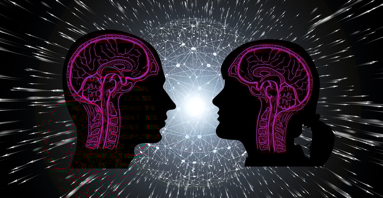 魏金立最新动态揭秘，多重身份与最新消息一览