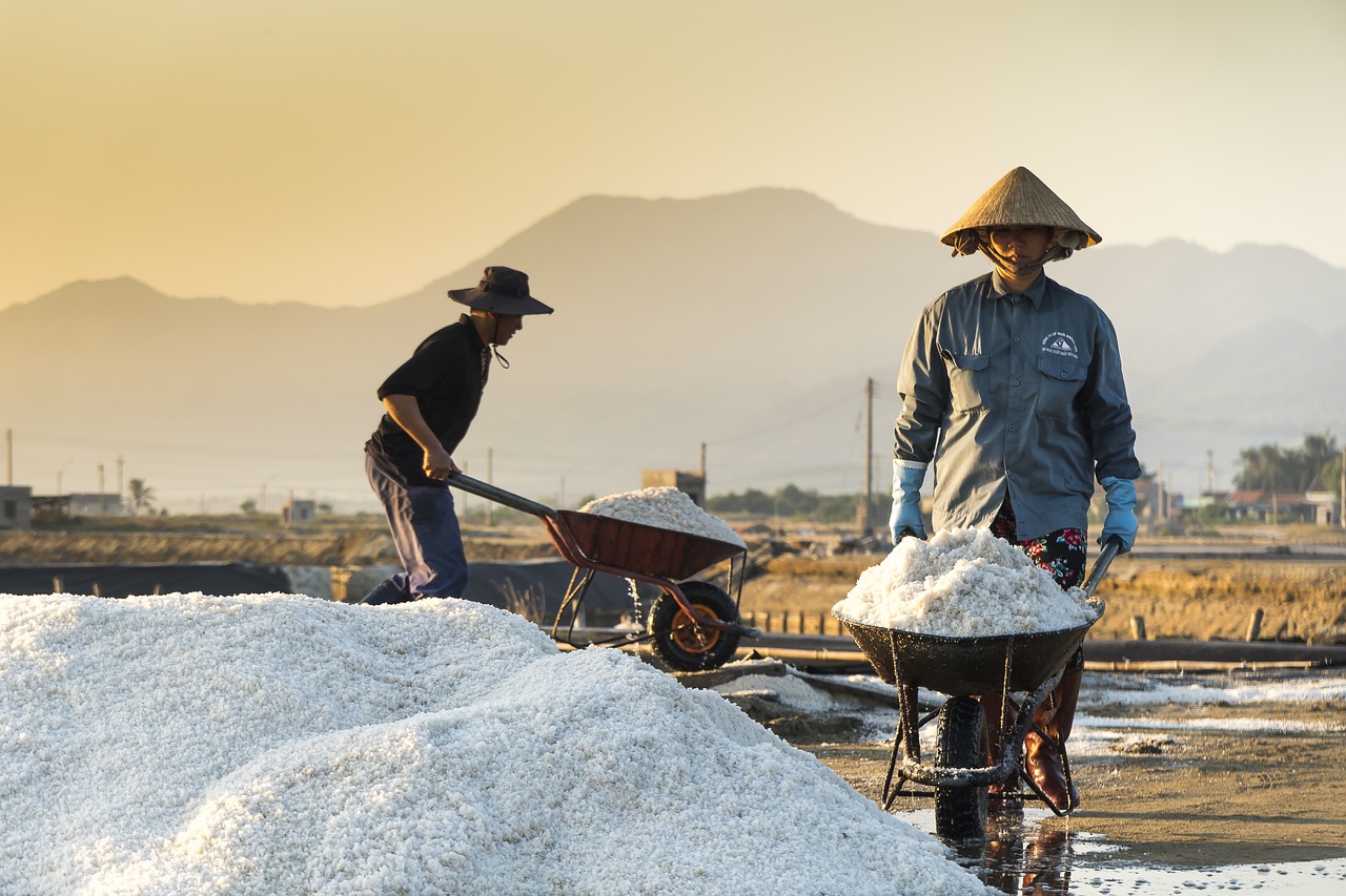 农民医生杨益的最新更新，扎根大地的医者情怀与时代担当的践行者