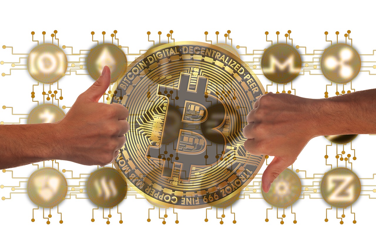 稀量币最新动态，行业变革、前景展望与最新消息速递