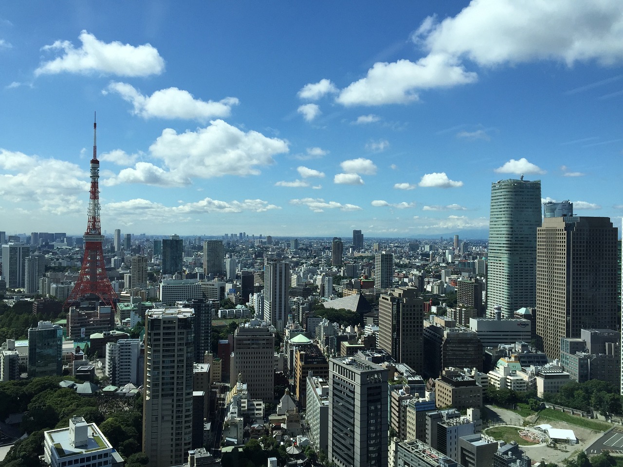 2024年11月 第11页