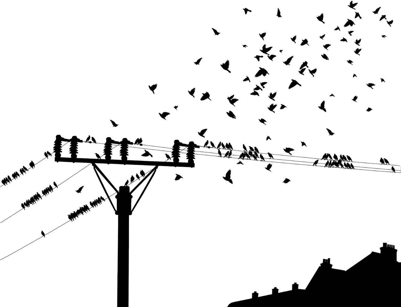 新澳精准资料免费大全,高度协调实施_网络版ZF371.294