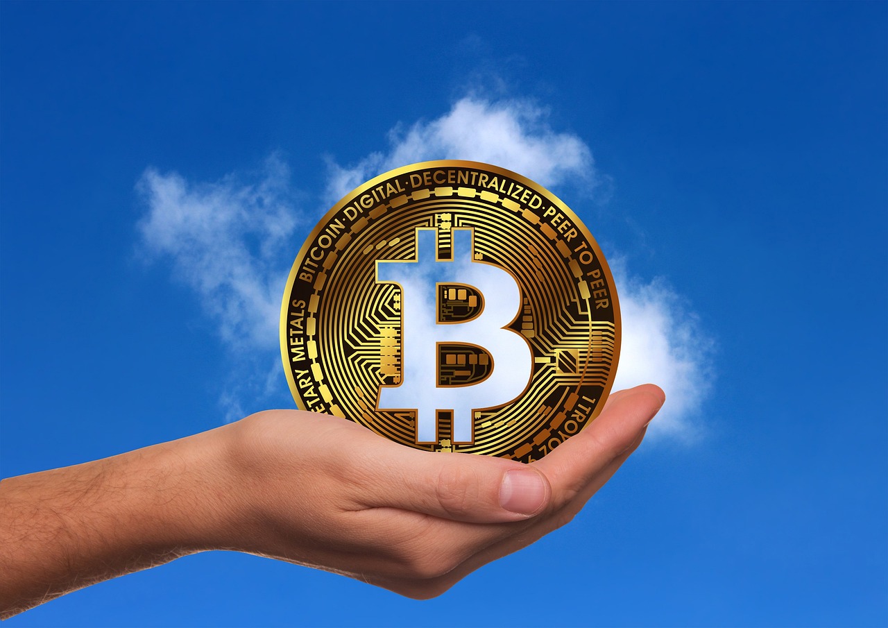 彰武玉米价格最新行情及分析概述