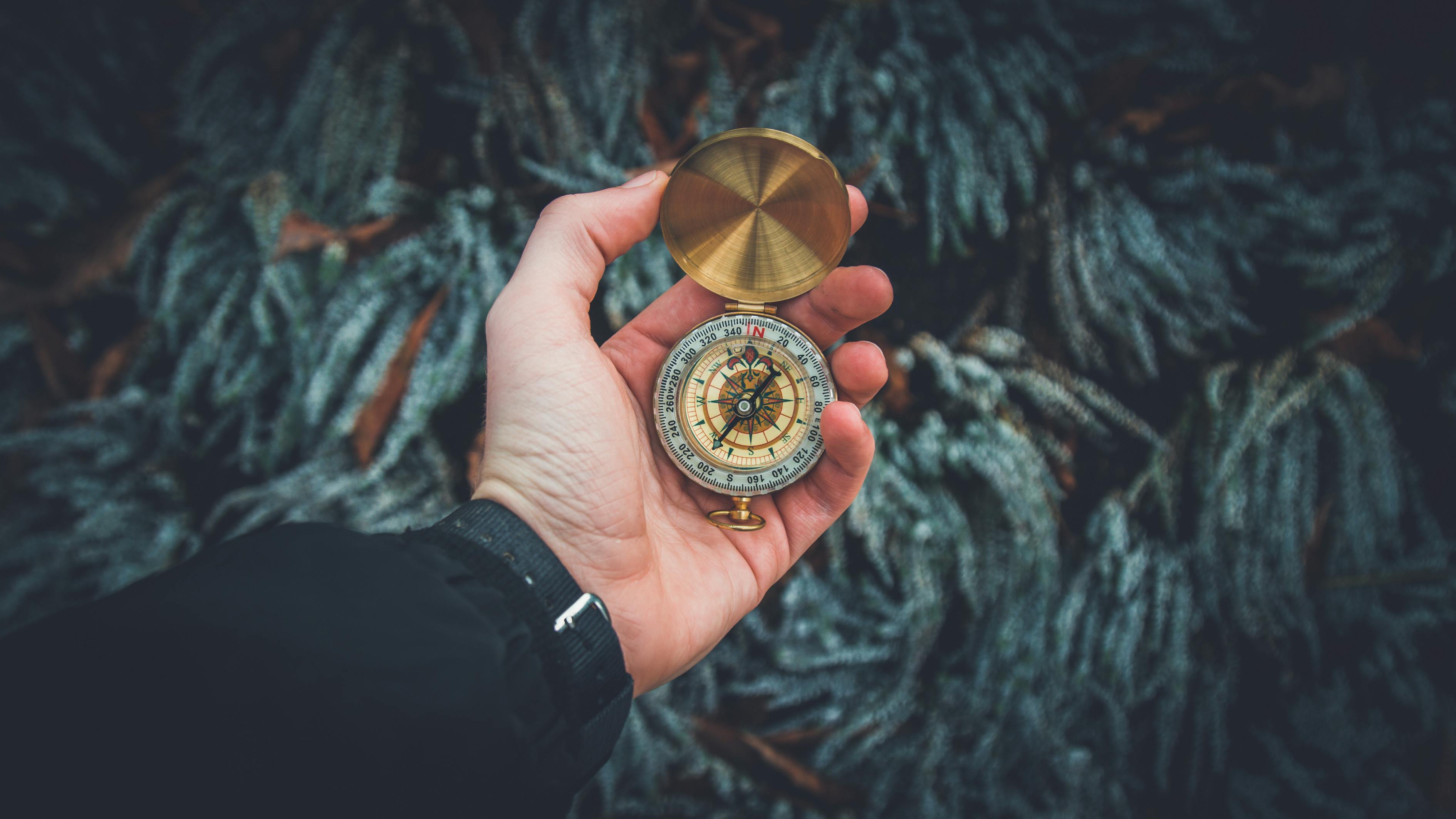 娱乐点金手，探索未知宝藏世界的最新章节揭秘
