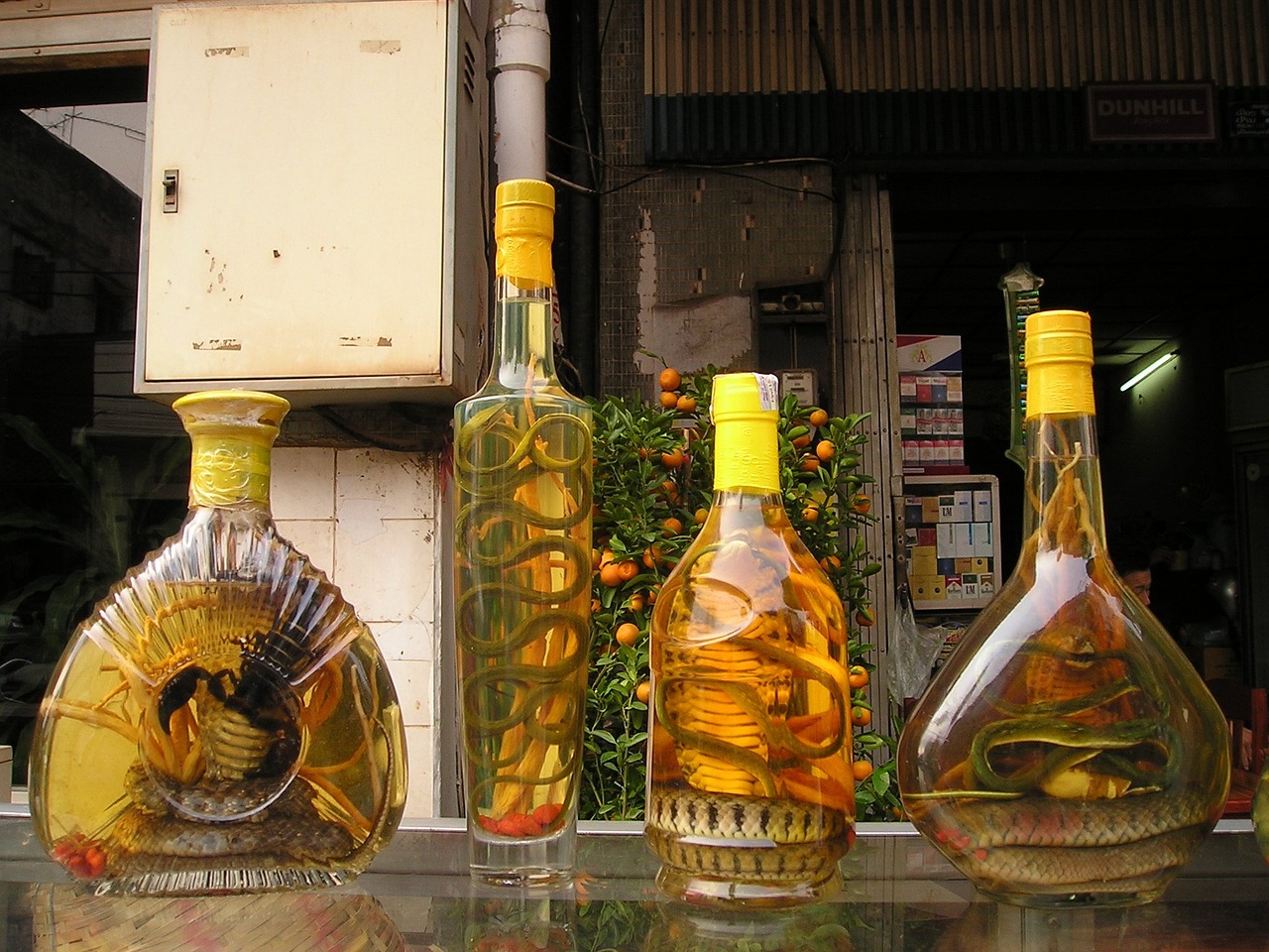 羊年茅台酒最新价格概览，市场走势与收藏价值解析