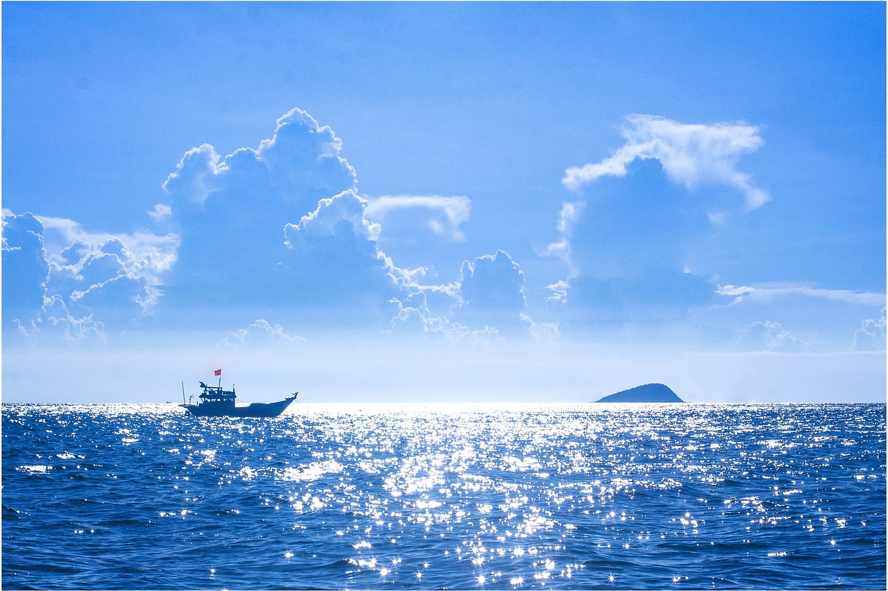 十点读书最新文章，探索知识的海洋之旅