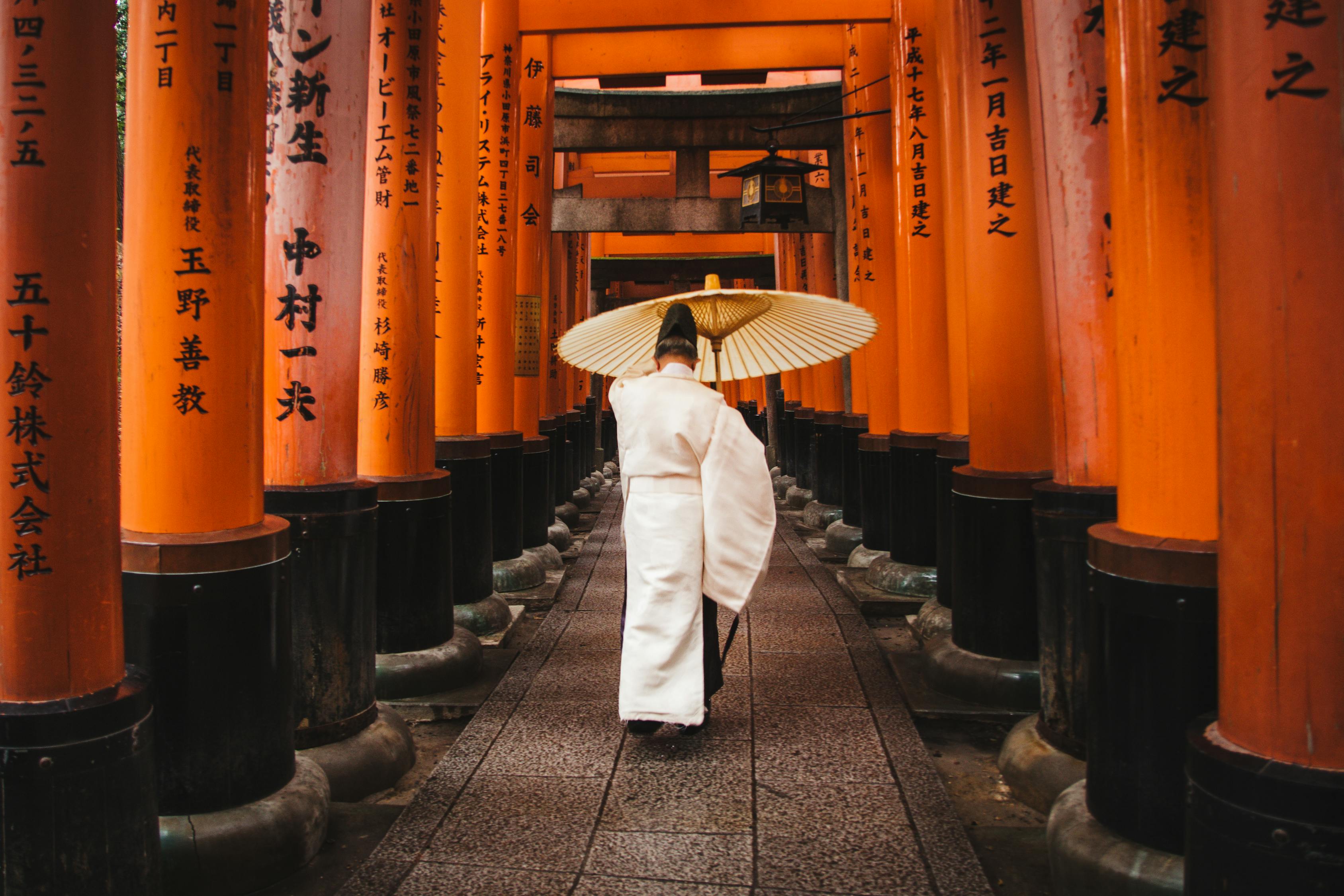 日本失踪老师最新消息揭秘，探寻真相与希望的旅程进展追踪
