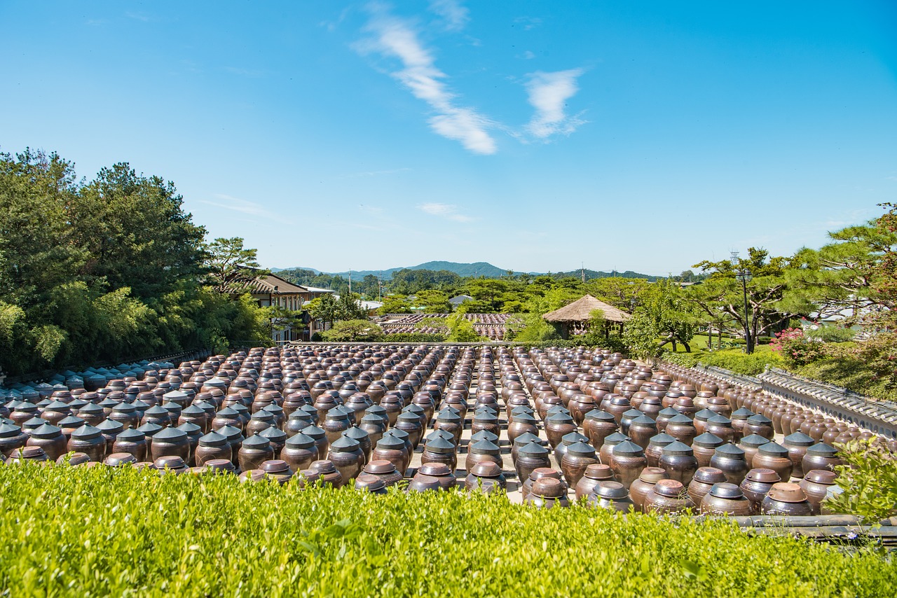 曹县改市最新动态，城市转型与发展迈入新篇章