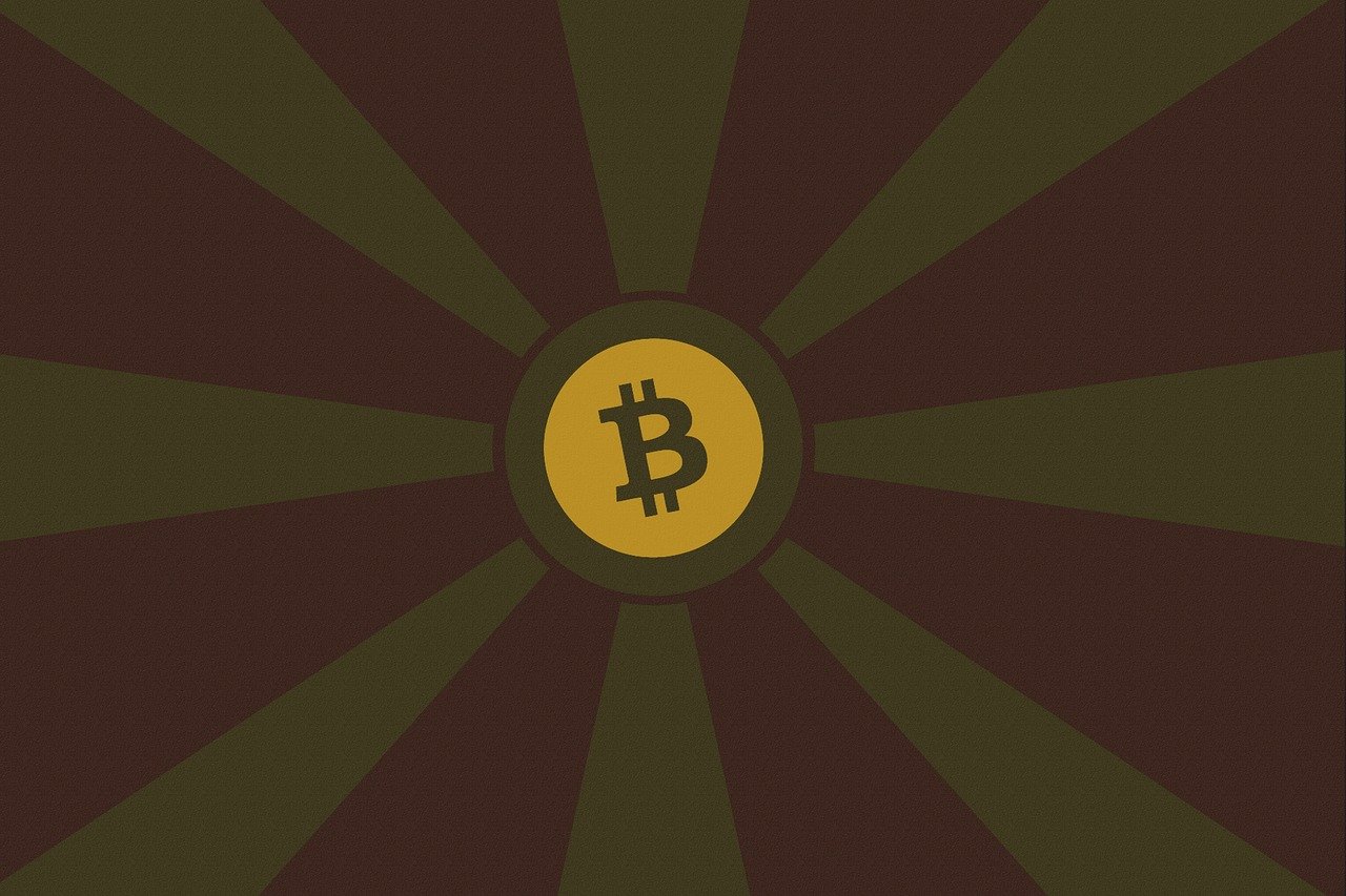 多特币最新动态，市场趋势、技术创新与应用拓展全面解析