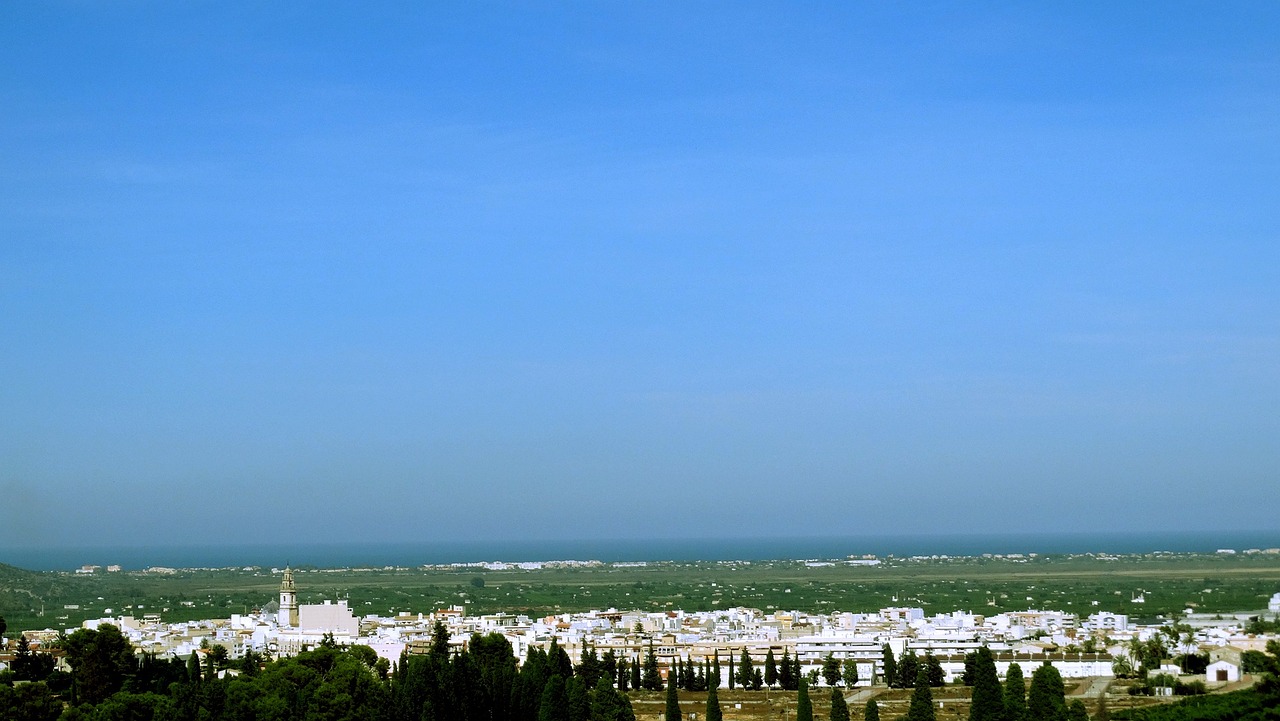 郑州绿博组团最新房价动态与市场趋势深度解析